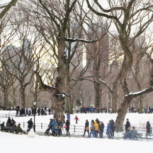 Winter Stroll in Central Park, NYC