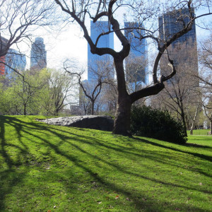 End of Winter in Central Park