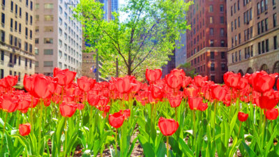 Manhattan Throughout the Seasons